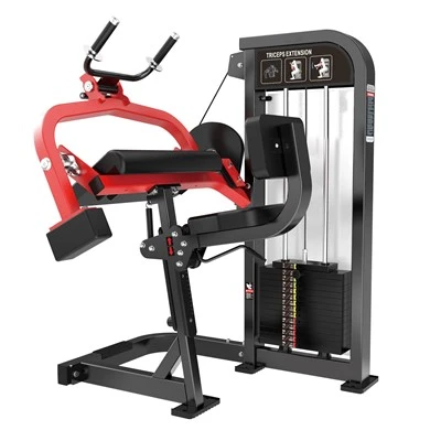 Multi-Fonksyon Estasyon Triceps Trainer Gym Machine